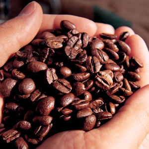 cafe-em-graos